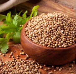 Coriander-Seeds.jpg