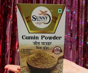 Cumin Powder